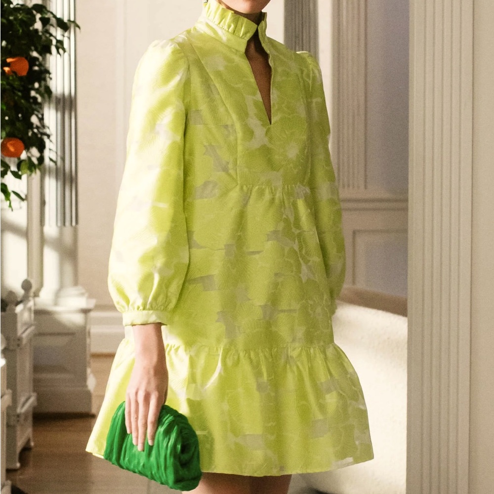 Brand Dress NWT-GORGEOUS Citron Lime Coupe Palmerston Dress 
TUCKERNUCK TNUCK
